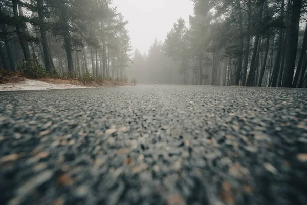 Dag Met Veel Mist Het Bos Pyreneeën — Stockfoto