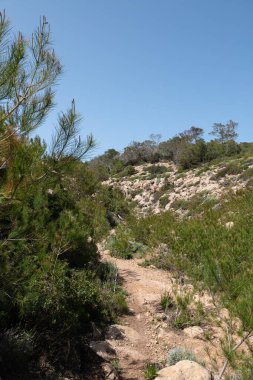 2022 yazında İspanya 'nın İbiza adasındaki Calo de S Illa plajı..