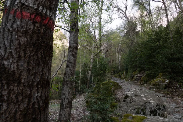 Trail Madriu Perafita Claror Valley Andorra Unesco World Heritage Site — Stockfoto