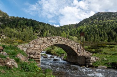 Bridge the Vall de Incles in Andorra in spring 2022. clipart