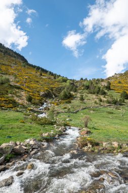2022 baharında Andorra 'daki Vall de Incles' ın manzarası..