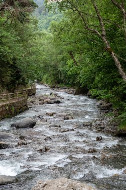 Cami Ral La Massanain 'deki Valira del Orient nehri Andorra' da yaz mevsimi.