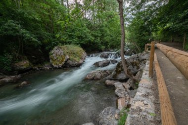 Cami Ral La Massanain 'deki Valira del Orient nehri Andorra' da yaz mevsimi.
