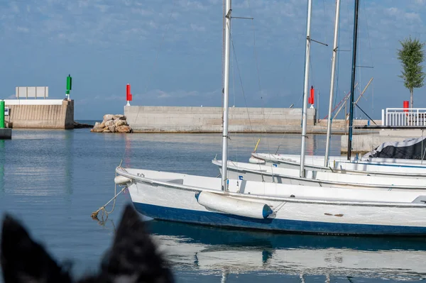 Coma Ruga Spain 2022 June Boats Port Comarruga Beach Tarragona — Stockfoto