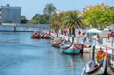Aveiro, Portugal. 2022 May 12 . Traditional boats in the canal of Aveiro, Portugal. The colorful Moliceiro de Aveiro boat tours are popular with tourists to enjoy views of the charming canals. Aveiro, Portugal.