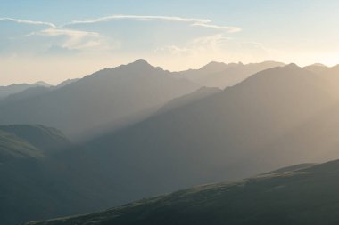 Andorran horses in the mountains at sunset in the Pyrenees.