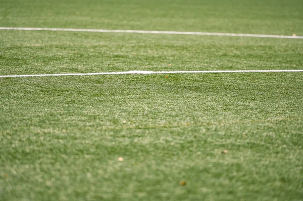 Football amateur field grass in a sunny day.