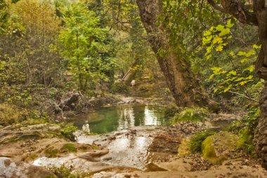 Türkiye'de yeşil doğa