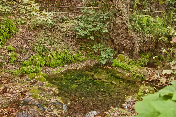 Groene natuur in Turkije — Stockfoto