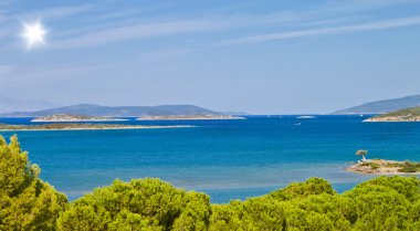 Türkiye'den güzel bir sahne