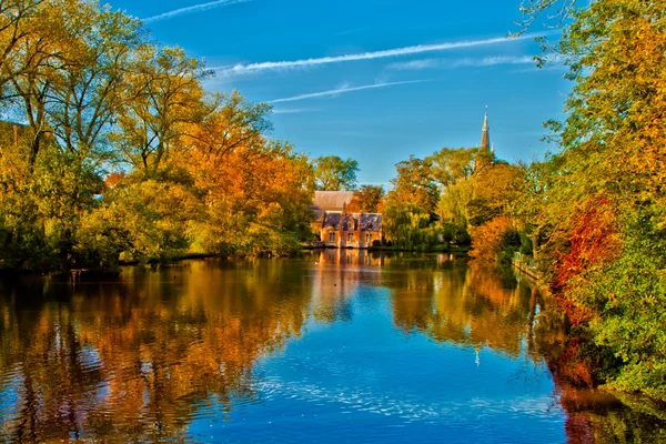 Vakker natur i Brugge, Belgia – stockfoto