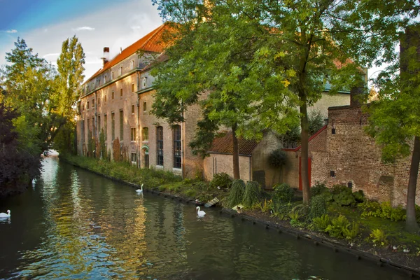 Beautiful Nature Scene in Brugge,Belgium — Stock Photo, Image