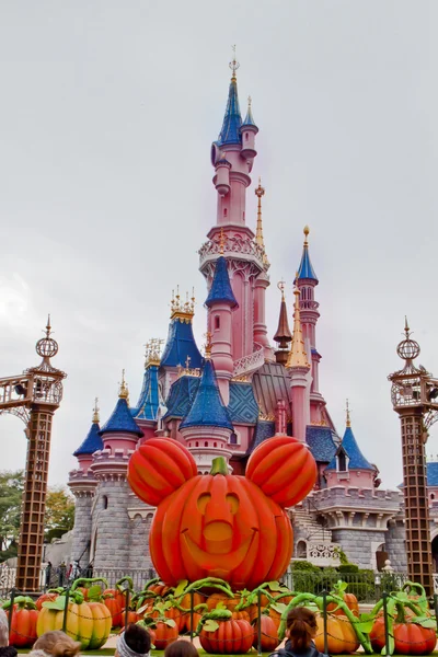 Fun Tİme in Disneyland,Paris France