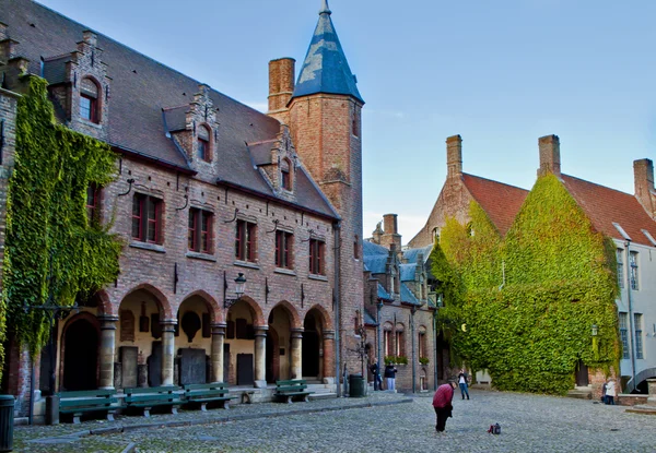 Belle scène de nature à Bruges, Belgique — Photo