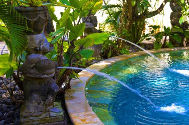 Bali adasında yeşil doğalı bir tatil köyünde yüzme havuzu.