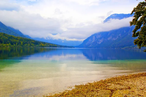 Прекрасний Вид Озеро Бохіндж Словенії — стокове фото