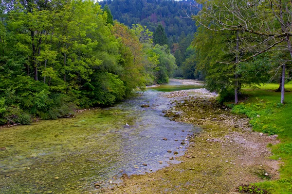 Bella Vista Sul Fiume Natura Verde Bohinj Slovenia — Foto Stock