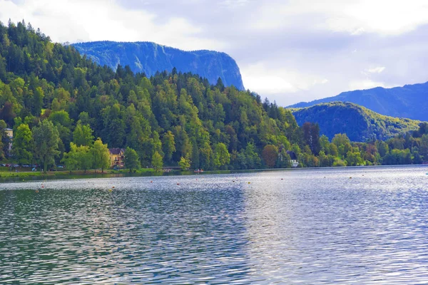 Vue Magnifique Sur Lac Saigné Automne Slovenia — Photo