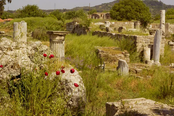 Magnesia Ancient City Column Aydin City Turkey — Foto de Stock