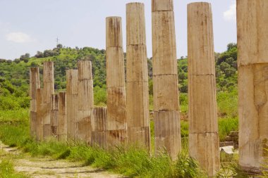 Aydın 'ın başkenti Türkiye' deki Magnezya antik kent sütunu