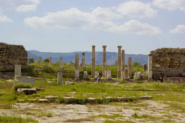 Magnesia Ancient City Column Aydin City Turkey — Photo
