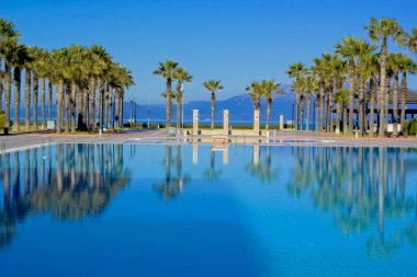 Kumsaldaki ağaçların lüks bir otelde havuzu var.