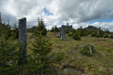 Bavyera Ormanı Ulusal Parkı 'nda güzel bir dağ manzarası
