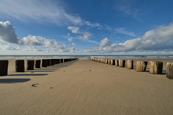 北海上美丽的沙滩 有许多木制栅栏 — 图库照片