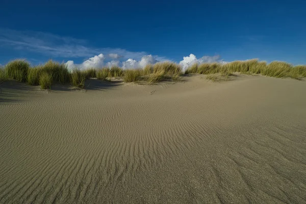 北海沙丘沙中的风所形成的图案 — 图库照片