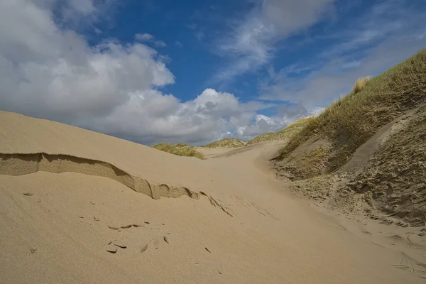 High Sand Dunes Overgrown Beach Grass North Sea — 图库照片