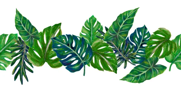 Jungle Tropical Green Plants Monstera Palm Tree Leaves Found Southern — Zdjęcie stockowe