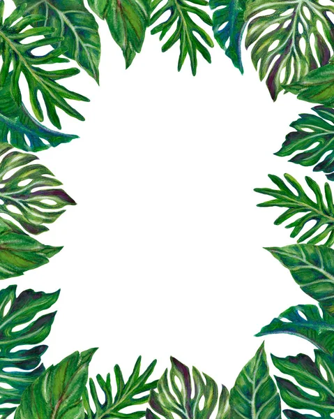 Watercolor Illustration Botanical Tropical Monstera Fern Palm Houseplants Frame Invitation — Zdjęcie stockowe