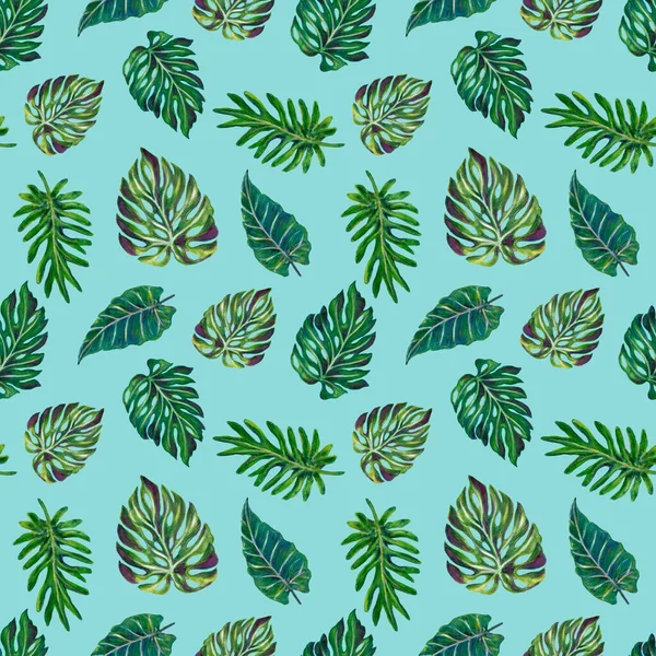 Jungle Tropical Green Plants Monstera Palm Tree Leaves Found Southern — Zdjęcie stockowe