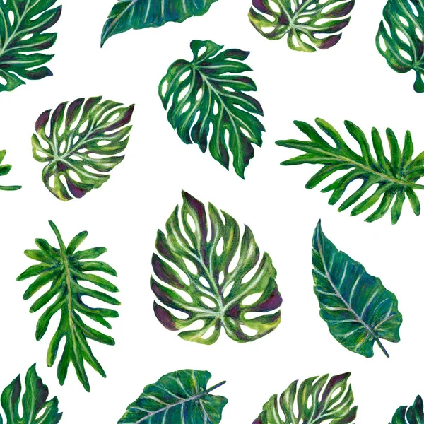 Jungle Tropical Green Plants Monstera Palm Tree Leaves Found Southern — Zdjęcie stockowe