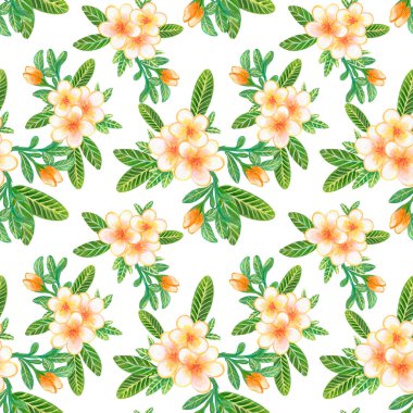 Watercolor illustration Botanical collection Plumeria and Frangipani foliage leaves bouquet Set of wild and garden and abstract seamless pattern hand drawing