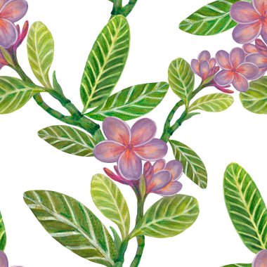 Watercolor illustration Botanical collection Plumeria and Frangipani foliage leaves bouquet Set of wild and garden and abstract seamless pattern hand drawing