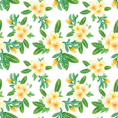 Watercolor illustration Botanical collection Plumeria and Frangipani foliage leaves bouquet Set of wild and garden and abstract seamless pattern hand drawing