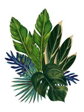 Tropical fruits plants  botanical leaves banana palm monstera bouquet arrangement isolated elements on the white background