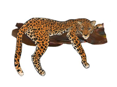 Watercolor gouache exotic animal leopards in motion element isolated arrangement ornament backdrop background