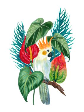 Cockatoo bird, anthurium plant and palm coconut leaves rainforest botanical element illustration