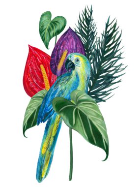 Parrot bird, anthurium plant and palm coconut leaves rainforest botanical element illustration