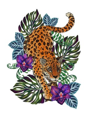 Jungle, animals exotic illustrations of tiger leopard, palm leaves,  tropical leaves, monstera, orchid purple violet color and branch foliage Drawings element isolated on white