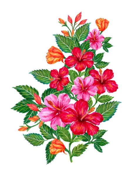 Watercolor Hand Painted Jungle Exotic Hibiscus Flower Leaves Foliage Isolated — Stock Fotó