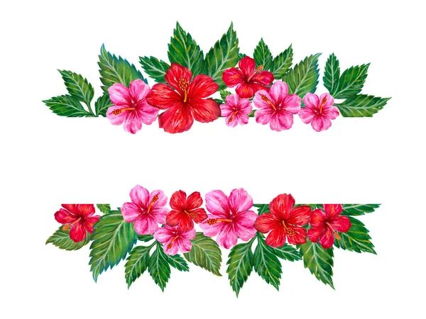 Tropical Plants Exotic Hibiscus Blossom Botanical Greenery Template Greeting Modern — 스톡 사진