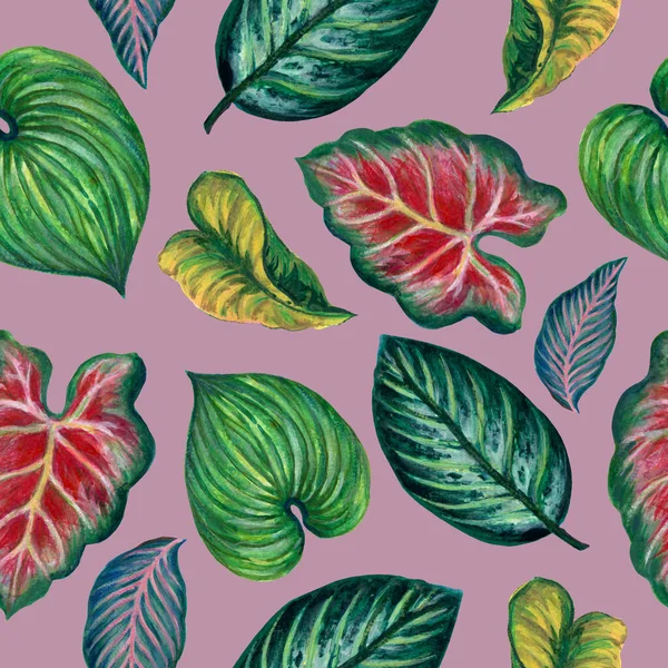 Anthurium Caladium Tropical Leaves Branches Foliage Seamless Pattern Illustration Watercolor — Stockfoto