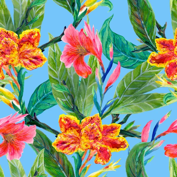 Υδατογραφία Εικονογράφηση Βοτανική Συλλογή Canna Floral Φύλλα Φύλλωμα Σύνολο Από — Φωτογραφία Αρχείου