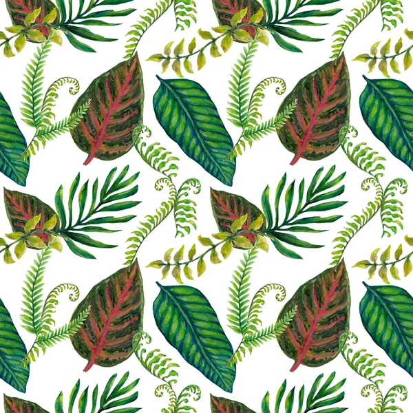 Watercolor Pencil Color Illustration Botanical Leaves Collection Set Wild Tropiacal — ストック写真