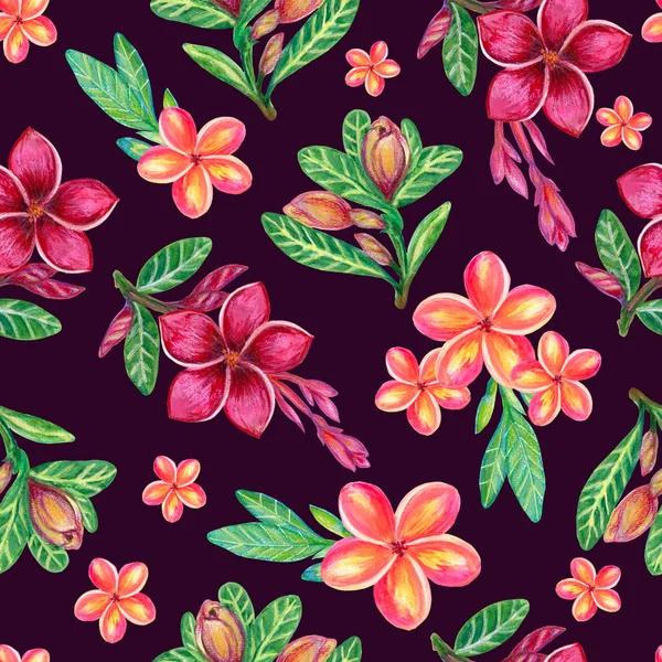 Seamless Pattern Tropical Flowers Leaves Decorative Exotic Jungle Plumeria Frangipani — Stock Fotó