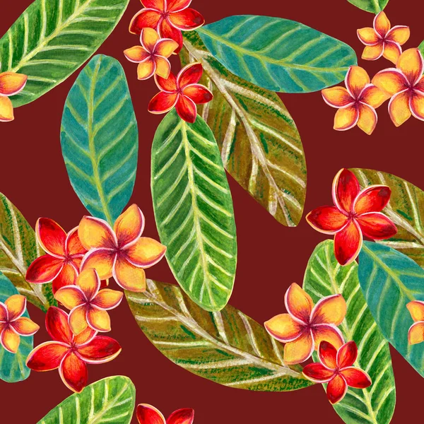 Watercolor Illustration Botanical Collection Plumeria Frangipani Foliage Leaves Bouquet Set — ストック写真