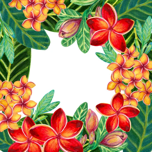 Hand Painting Watercolor Illustrationinspired Plumeria Frangipaniplants Leaf Greeting Template Frame — Stock Fotó